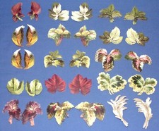 Anna Griffin 3D Colored Foliage Embellishments 60 pieces Total- 4 of each Design