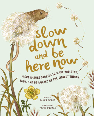Slow Down And Be Here Now: More Nature Stories To Make You Stop, Look, And ...