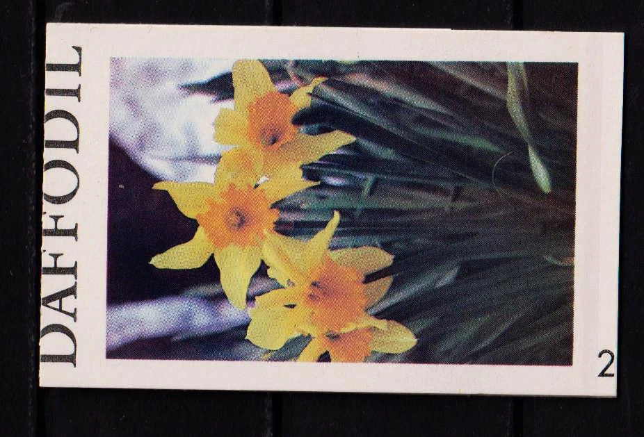 Probedruck Test Stamp Booklet Specimen TDB 44 Daffodil Nr. 2 - Bild 1 von 4