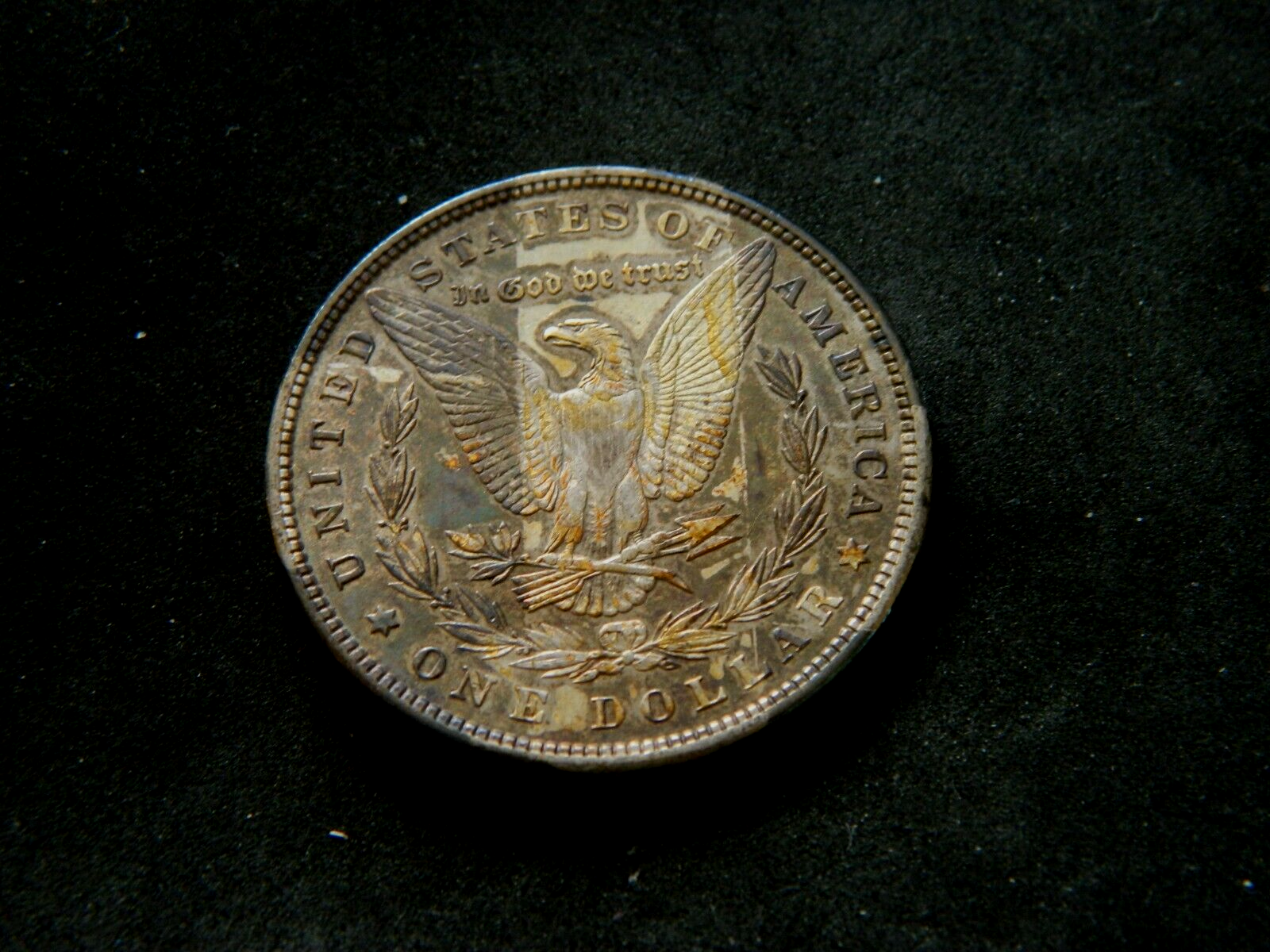 Picture 4 of 4