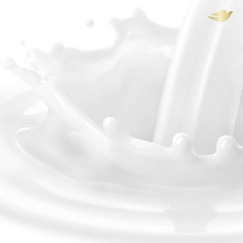 Body Wash Deep Moisture for 24hr Lotion-Soft Skin Moisturizing Skin Cleanser - Picture 3 of 6