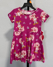 NWT Strawberry Shortcake Toddler Girl Print Short Sleeve Skater Dress Pink Sz 4T