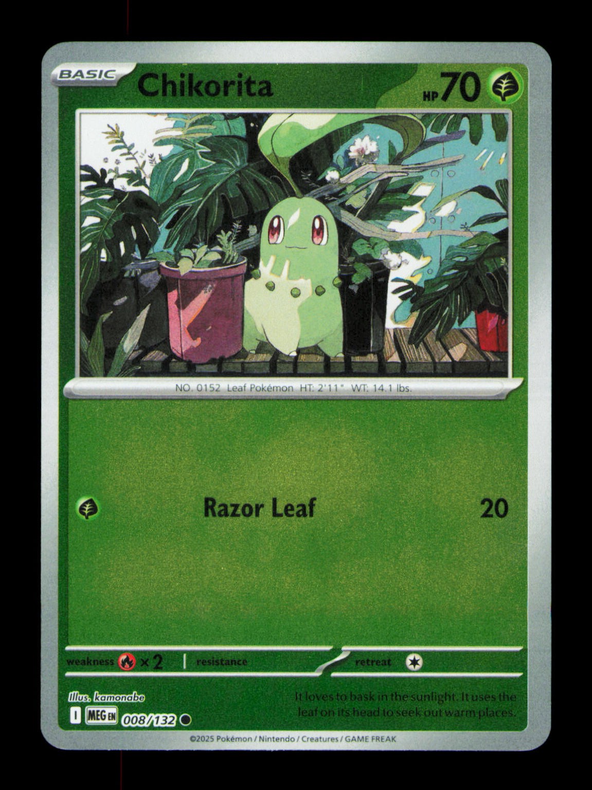 Chikorita Reverse Holofoil Common ME01: Mega Evolution 008/132 NM
