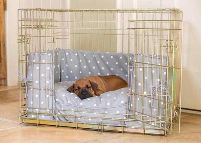 ellie bo dog crate gold