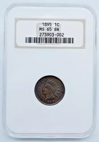 1895 Indian Head Cent NGC MS 65 BN Nice Toning Old Holder - C1990