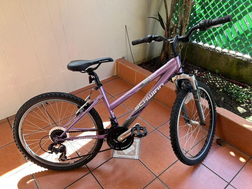 Schwinn 24自行车 — 第 2/4 张图片