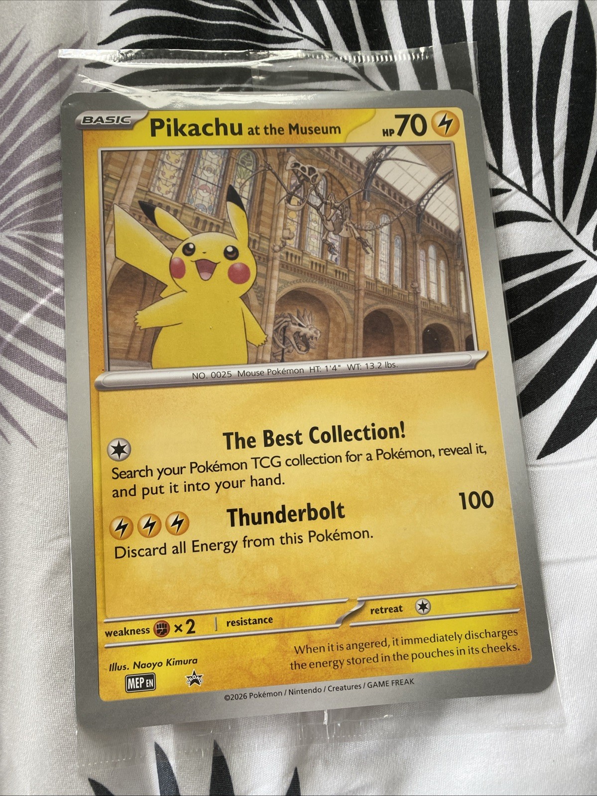 Pikachu At The Museum Pokémon Promo Card