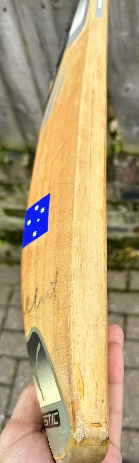 Bild 24 von 24