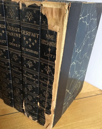 11 vols-Masterpieces of French Fiction/The Immortals/Current Literature Pub 1908 - Picture 6 of 18