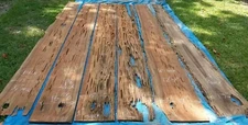 REAL Underwater Recovered Rare Pecky Sinker Cypress Slabs Various Sizes 12' Long