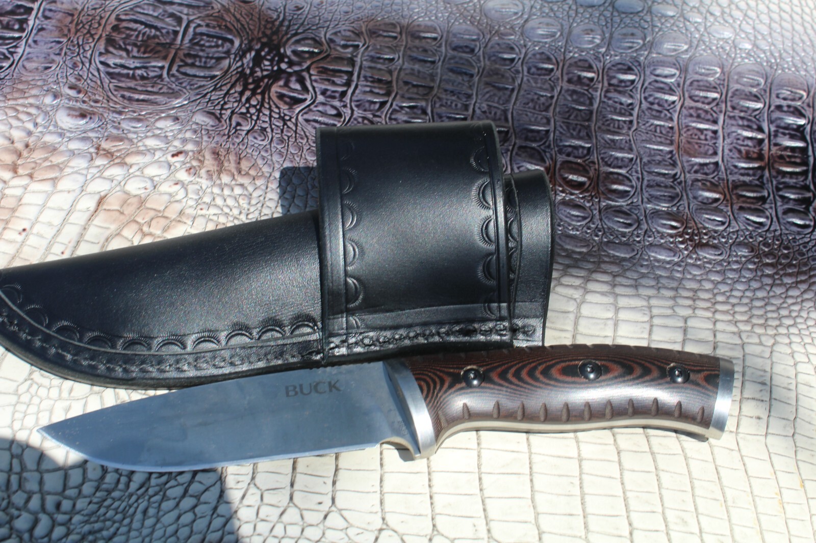 Picture 5 of 5