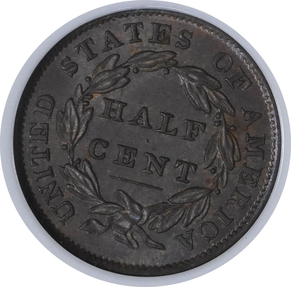 1833 Half Cent MS64BN NGC - Image 4 of 4