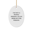 Irish Setter Dog Lovers Gifts from Friends for Irish Setter Dog - Oval Ornament