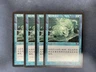 MTG 4X CHINESE TORMENT AQUAMOEBA NM MAGIC THE GATHERING CREATURE COMMON BLUE