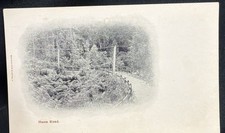 Huon Road Tasmania Undivided Back Postcard J Walsh & Sons Launceston c1904–07