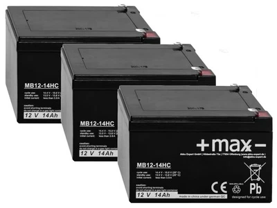 +MAXX- Akku kompatibel Scooter E Roller eFlux Vision 1000 Watt 36V PR0002982 CHES001