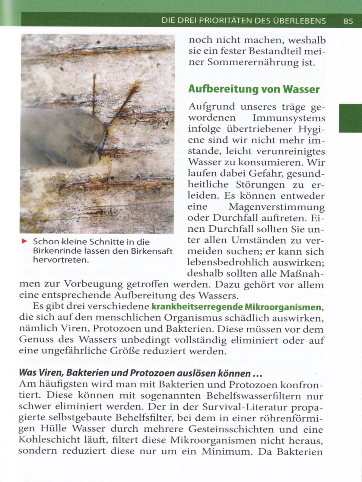 Thumbnail - Überleben In Der Natur (buch) Der Survival-guide Für Europa - Lars