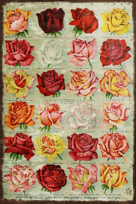 Rosensorten Gartenwerbung, gealterter Look Vintage Retro-Stil Metallschild Plakette