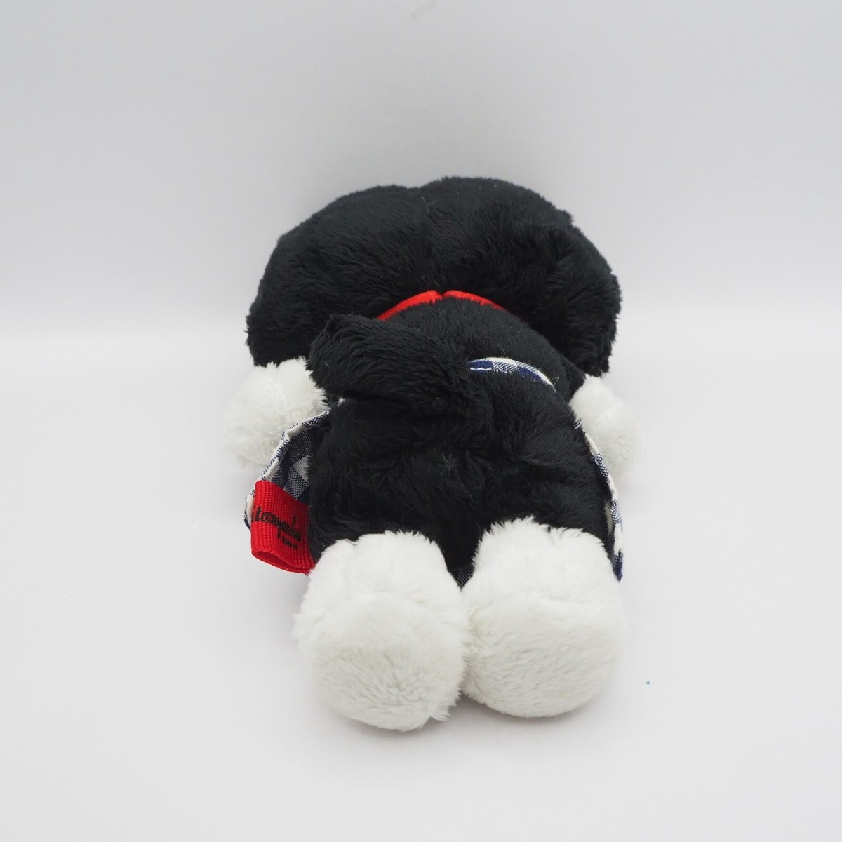 猫さん Kutusita Nyanko C0101 Black Cat Bride San-x Plush 7