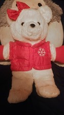 DanDee Brand Teddy Bear Winter Edition