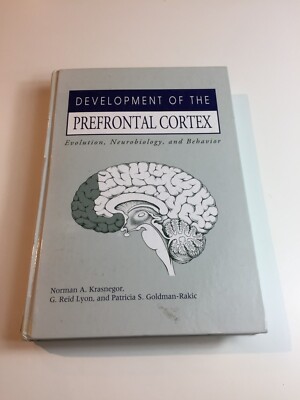 Development of the Prefrontal Cortex