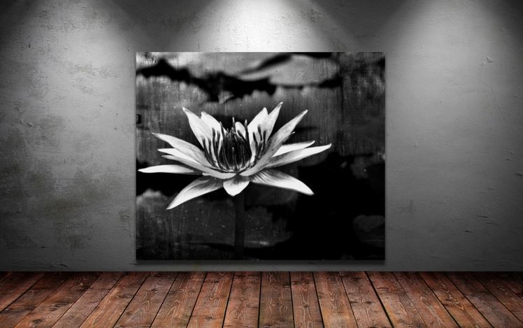 black-white-water-lily-flower- WALL ARTS SCENERY  high quality Canvas home decor