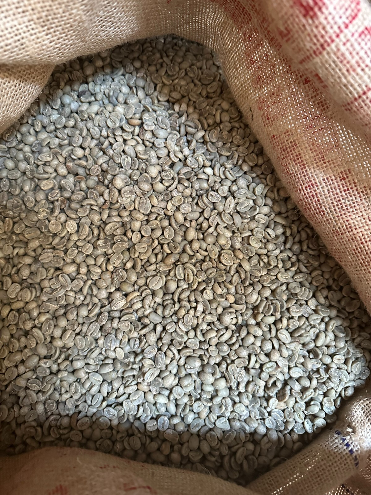 5 LBS HIGH ALTITUDE ORGANIC GUATEMALAN SHB UNROASTED ARABICA COFFEE BEANS