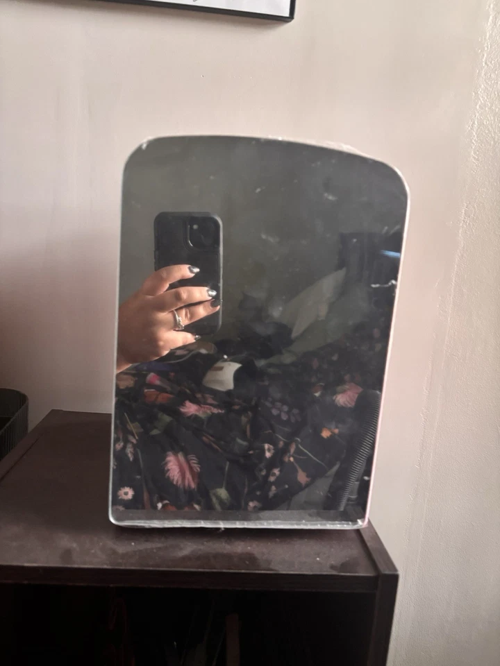 Mini Nevera Espejo LED Cuidado de la Piel y Maquillaje Refrigerador Pequeño Rosa Foto 2 de 4
