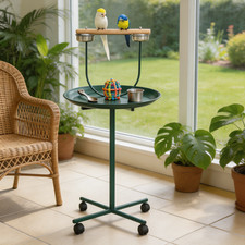 Parrots Play Stand with Feeding Cups Catch Tray Rolling Metal Bird Perch Green