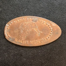 TIGER Mammoth Cave Wildlife Museum - Press Coin Elongated Penny Souvenir