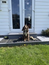 Lovely Dog Friendly Chalet for Rental in North Norfolk