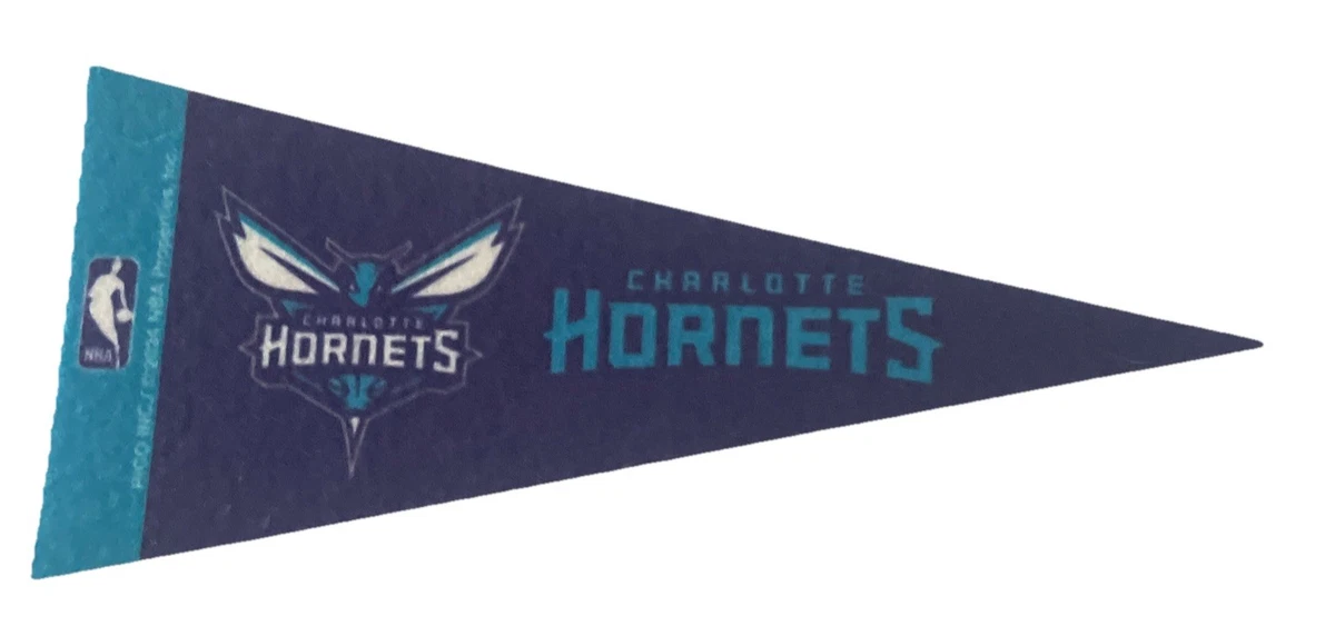 Set Bandiera Charlotte Hornets Con Supporto: Perfetta Per Giardino, Cortile O Ingresso Di Casa