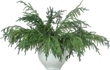 30" Artificial Norfolk Pine Branches - 6 Pcs Greenery for Christmas Decor