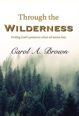 Through The Wilderness: Finding God's presence when all seems lost. by Carol A. 
