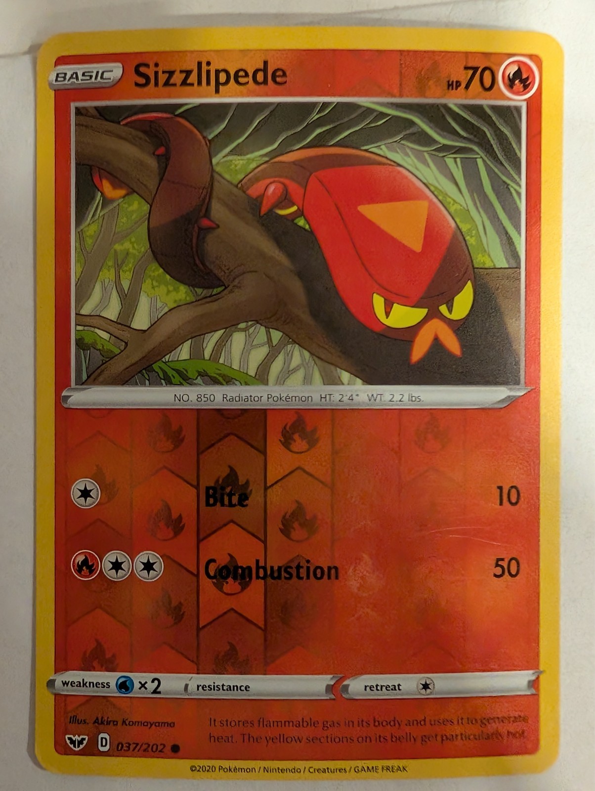 Sizzlipede 037/202 - Sword & Shield Base Pokemon Reverse Holo Foil Nice!