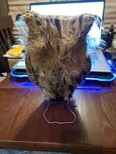 Vintage Owl Made with Various Materials 11 Inches Tall