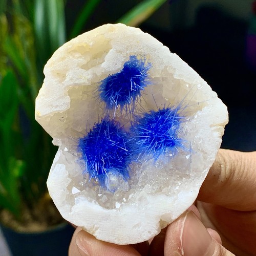 59G Indian dandelion zeolite Quartz Crystal Cluster Mineral Specimen - Picture 4 of 15