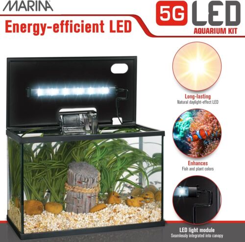Complete 5 Gallon Glass Aquarium Starter Kit with LED Lighting and Filter - Picture 6 of 9