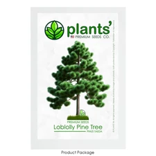 Loblolly Pine Tree | Premium Seeds | Pinus taeda | Plants'®