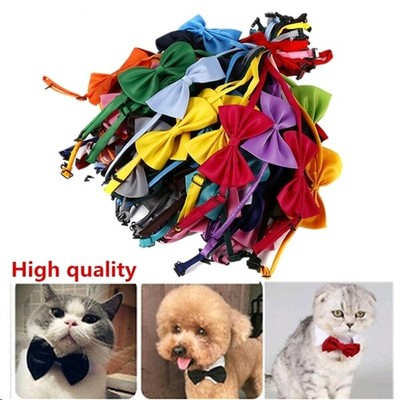 dog neck accessories