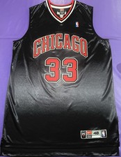 Authentic 2003-2004 Scottie Pippen #33 Chicago Bulls  Super Rare Nike Jersey 48