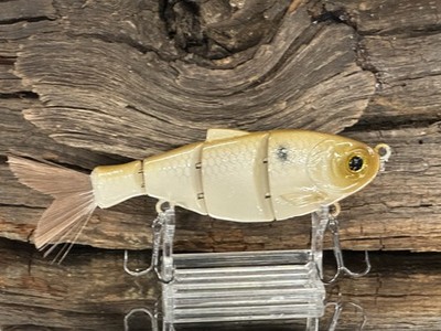 Custom Painted Midsized Nasty Shad Swimbait