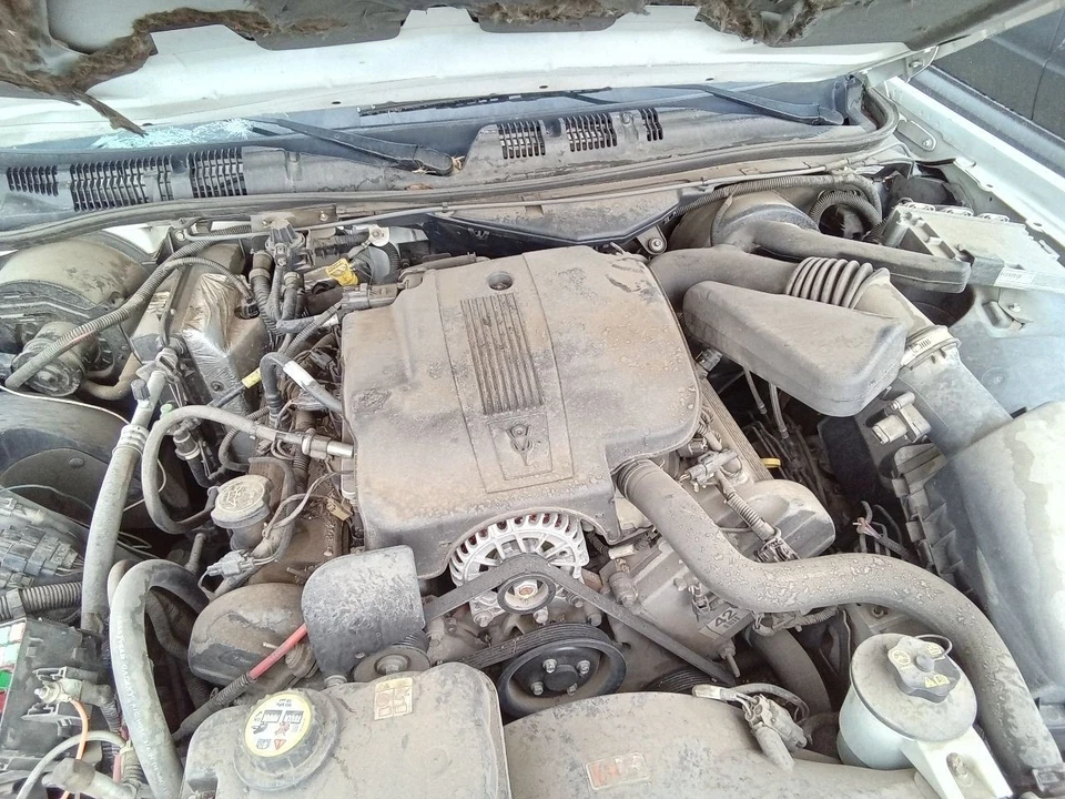 Driver Door Handle Exterior Door Rear Fits 00-11 CROWN VICTORIA 30763795 Foto 2 de 4