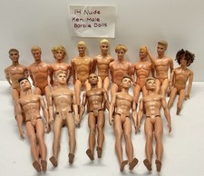 14 Nude Barbie Ken Male Friend Dolls In Good Condition