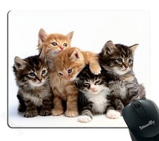Cats Mouse pad for Computers Kittens Family Cats Mouse Pad