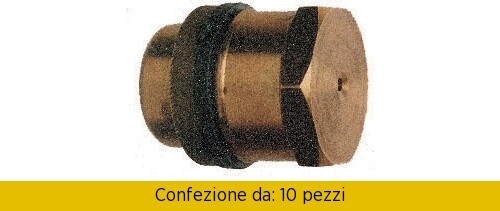 Bi.Vi. 10 Getti a Rosa in Ottone Esagonale per Irrorazione Professionale