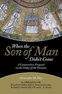 Christopher M. Hays When the Son of Man Didn't Come (Taschenbuch)