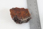 Sonora Plume Agate lapidary 3.1 oz faced rough lot 1d — photo 5