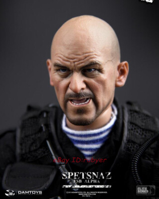 Damtoys 78015 SPETSNAZ FSB ALPHA GROUP PRICE 1/6 Figure Model