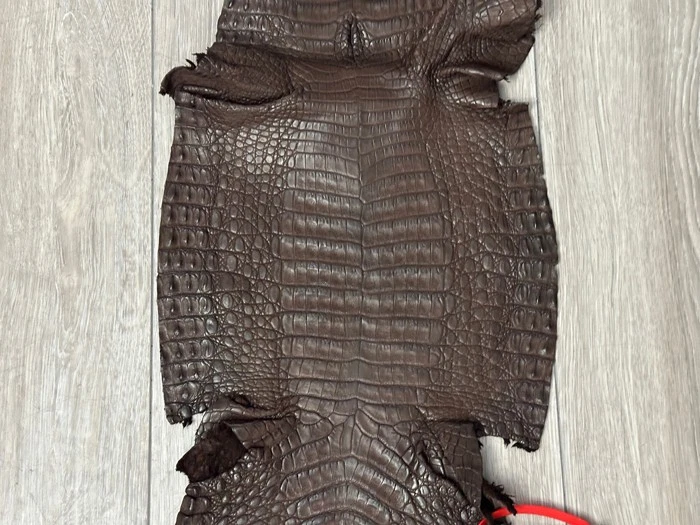 Marrón Genuino Caimán Cocodrilo Vientre Ocultar Cuero Piel Caimán Real Cocodrilo 483 Foto 3 de 4